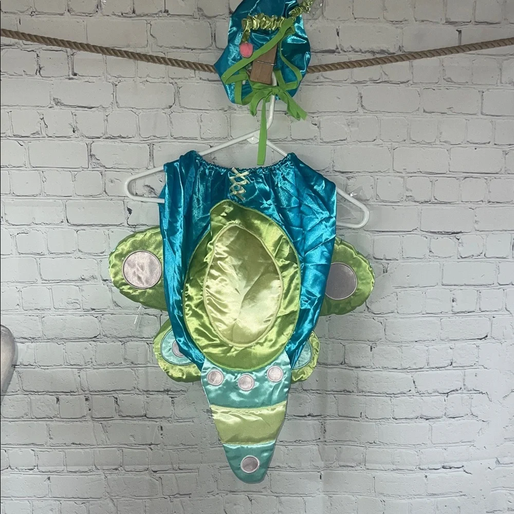 Child’s Butterfly costume. Hat with antennas. Booties too. Up to 25 lbs Toddler